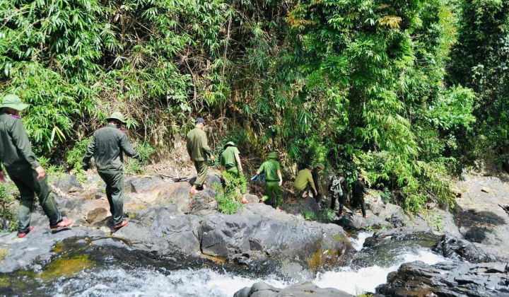 Ban Quản lý Rừng phòng hộ Sông Bồ: Đổi mới phương thức quản lý, nâng cao hiệu quả hoạt động