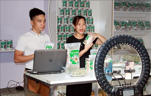 Thủ tướng yêu cầu đẩy mạnh quản lý nhà nước về thương mại điện tử