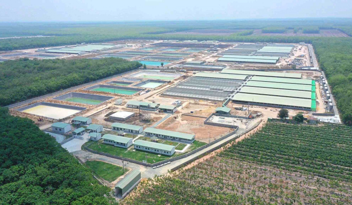 BaF Việt Nam (BAF) đẩy mạnh M&A, dự chi 3.000 tỷ đồng để xây thêm loạt trang trại