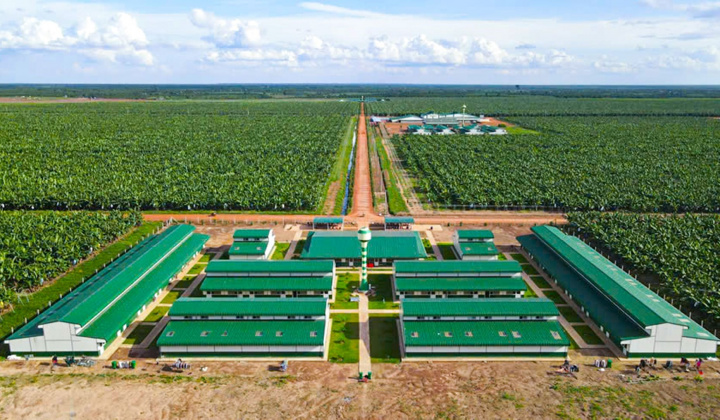 THACO AGRI tuyển dụng hơn 6.100 nhân sự trong quý 3/2024