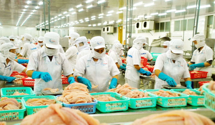 Xuất khẩu thủy sản tháng 10/2024 quay trở lại cán mốc 1 tỷ USD sau 27 tháng