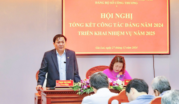 Gia Lai: Các chỉ tiêu về công nghiệp, thương mại, xuất nhập khẩu đều tăng so với năm 2023