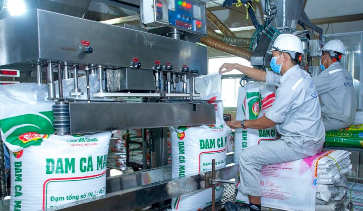 Đạm Cà Mau (DCM): Lãi quý 4 giảm 74%, nhà máy mới sẽ hoạt động trong quý 1/2025