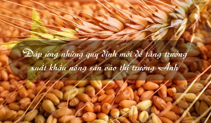 [eMagazine] Đáp ứng những quy định mới để tăng trưởng xuất khẩu nông sản vào thị trường Anh