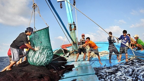 Thủ tướng chỉ đạo chấn chỉnh công tác cấp Giấy chứng nhận thủy sản khai thác