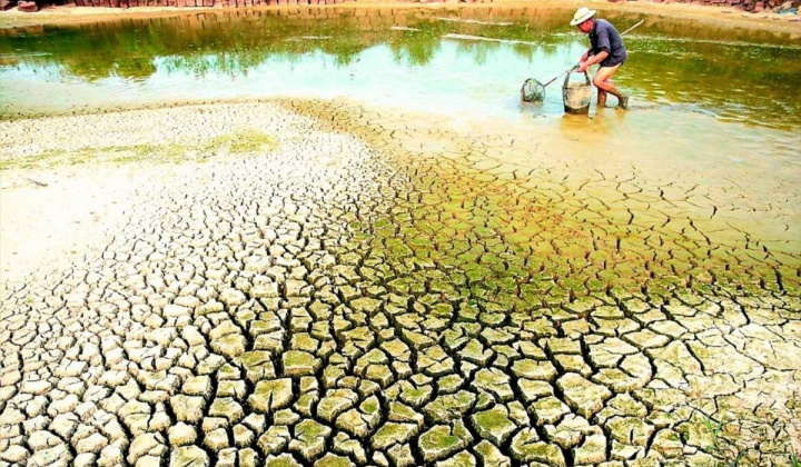 Thủ tướng chỉ đạo chủ động phòng, chống hạn hán, thiếu nước, xâm nhập mặn