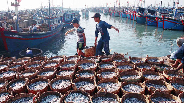 Cá nhân vi phạm quy định trong lĩnh vực thủy sản bị phạt tối đa tới 1 tỷ đồng