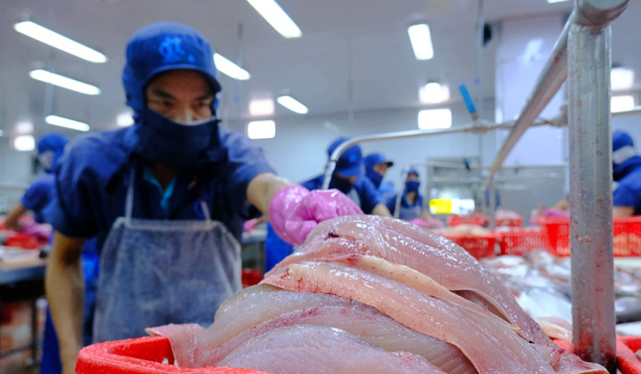 Thuỷ sản Nam Việt (ANV): Đã khép kín chuỗi giá trị cá tra, tham vọng lãi năm nay tăng gấp 8 lần