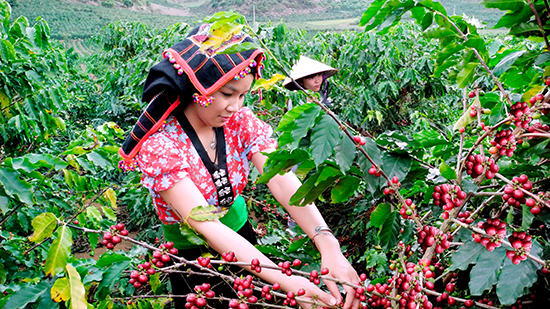 Triển khai cơ chế đặc thù, đẩy nhanh tiến độ các chương trình mục tiêu quốc gia