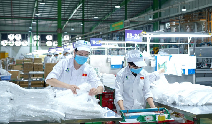 Cổ phiếu rơi vào diện cảnh báo, An Phát Holdings nói gì?