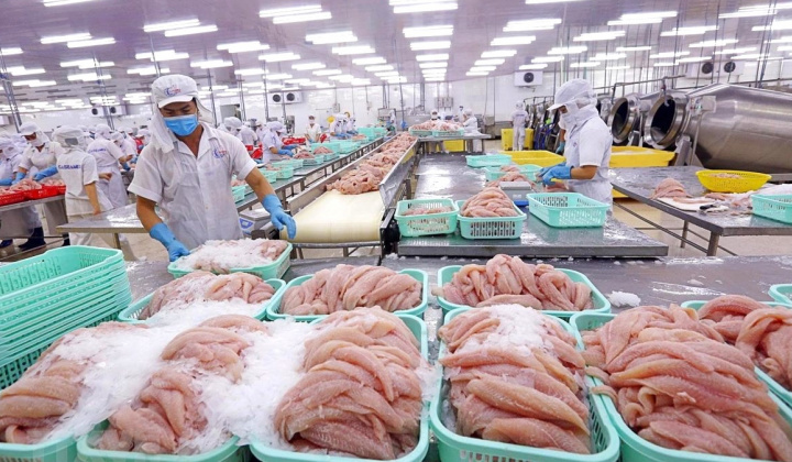 Thủy sản Vĩnh Hoàn (VHC): Xuất khẩu cá tra khởi sắc, doanh thu quý 1 tăng 25%
