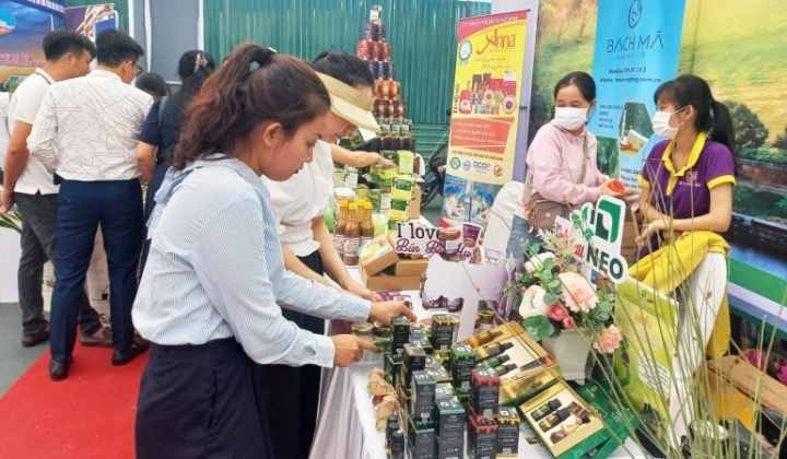 Thành lập Trung tâm Xúc tiến Đầu tư, Thương mại và Hỗ trợ doanh nghiệp tỉnh Thừa Thiên Huế