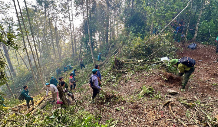 Chủ động phòng cháy, chữa cháy rừng, giảm thiểu thấp nhất thiệt hại do cháy rừng gây ra