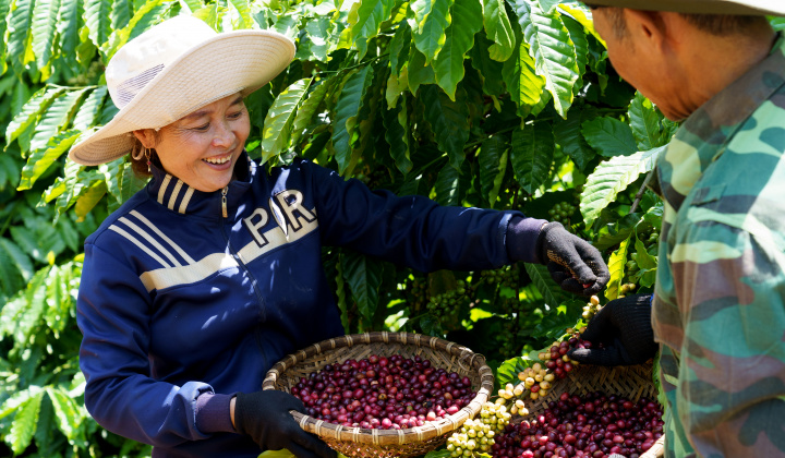 Nestlé Việt Nam cùng đối tác thúc đẩy sáng kiến giảm phát thải trong chuỗi cung ứng