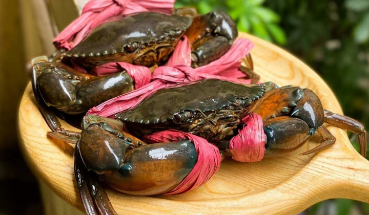 Xuất khẩu cua ghẹ ghi nhận tăng trưởng đột biến tại thị trường Trung Quốc & Hồng Kông