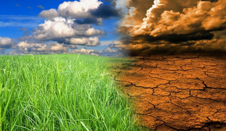 Bài học kinh nghiệm tài trợ tài chính khí hậu từ một số quốc gia trên thế giới