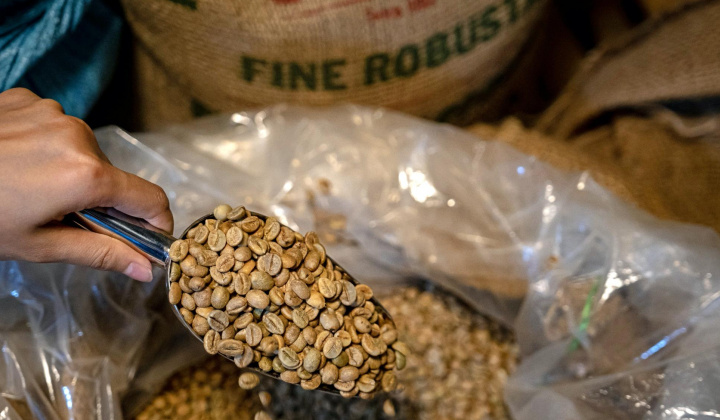 Giá cà phê hôm nay 29/5: Robusta thế giới cán mốc 4.000 USD/tấn, giá sẽ về đỉnh lịch sử cũ?