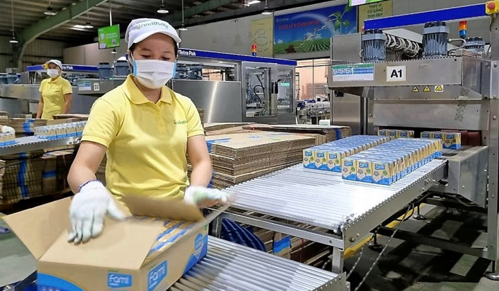 Đường Quảng Ngãi (QNS): Tiêu thụ đường tăng mạnh, nắm gần 300 triệu USD tiền mặt