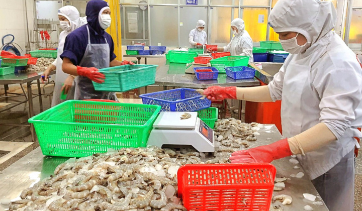 Thực phẩm Sao ta (FMC): Xuất khẩu tôm duy trì đà tăng trưởng, doanh số tháng 4 tăng 17%