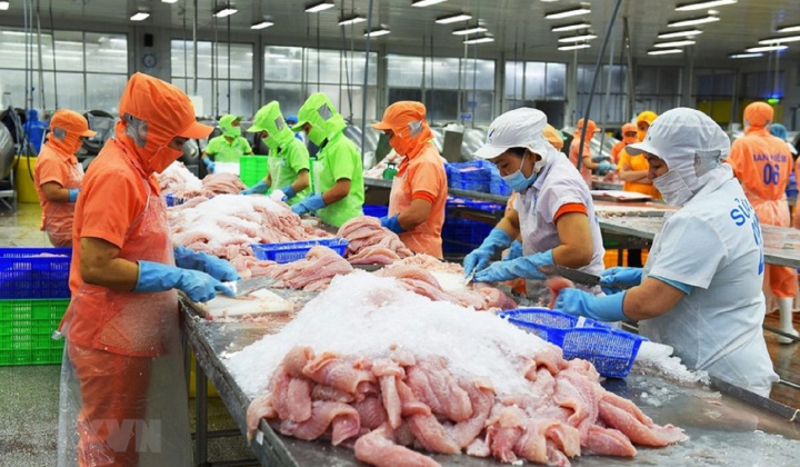 Giá cá tra xuất khẩu có thể tăng ít nhất 10% đến quý III/2024