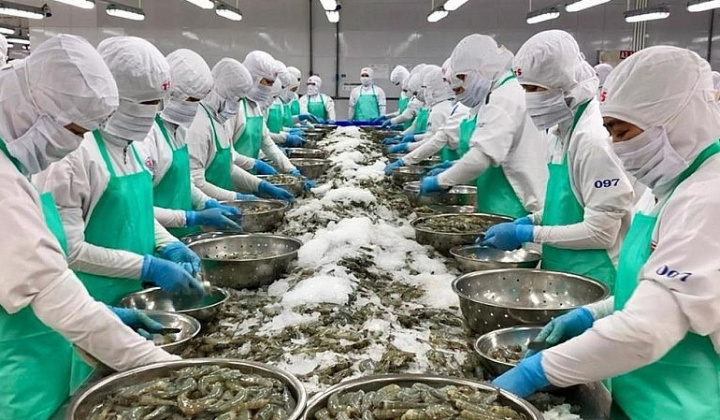 Xuất khẩu thủy sản 5 tháng: Hoa Kỳ dẫn đầu về tốc độ tăng trưởng