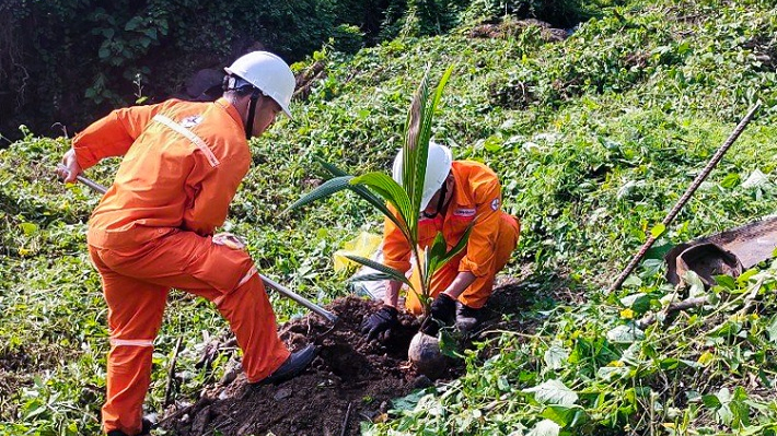 Công ty Thủy điện Đồng Nai: Nhiều hoạt động hưởng ứng Tháng hành động vì môi trường năm 2024