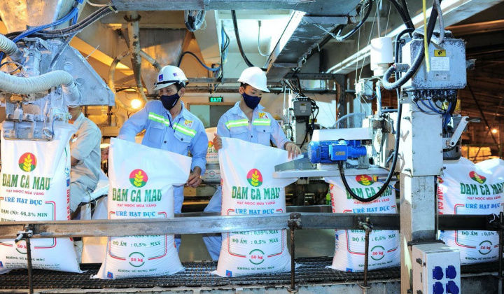 Vừa kết thúc Đại hội, Đạm Cà Mau (DCM) chuẩn bị chia cổ tức tiền mặt tỷ lệ 20%