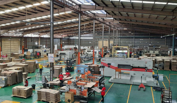 Giá giấy carton tăng 26%, kết quả kinh doanh của Đông Hải Bến Tre (DHC) kỳ vọng tăng tốc