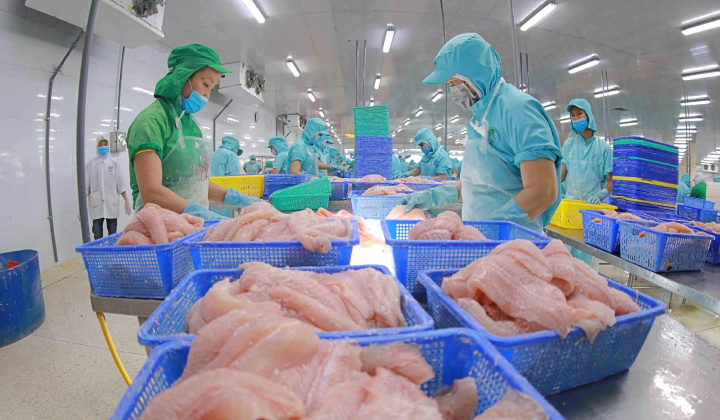 Thủy sản Vĩnh Hoàn (VHC): Doanh thu tại Trung Quốc, châu Âu tăng mạnh