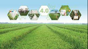 Tháo gỡ điểm nghẽn phát triển bền vững vùng đồng bằng sông Cửu Long cần có các giải pháp đồng bộ