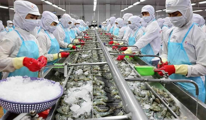 Thương mại Việt Nam - Liên bang Nga 5 tháng đầu năm 2024 tăng mạnh so cùng kỳ