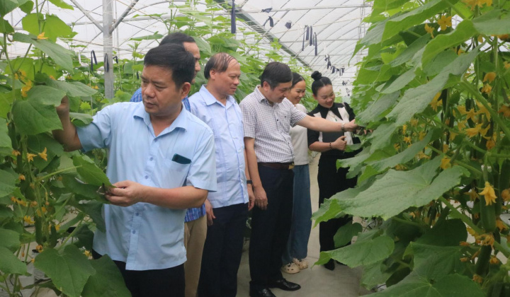 Bắc Ninh tích cực chủ động đảm bảo an ninh an toàn thực phẩm