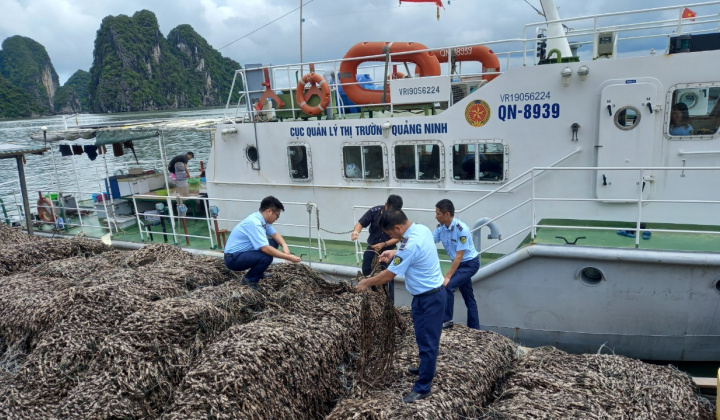 Quảng Ninh: Ngăn chặn 63 tấn hàu giống không rõ nguồn gốc xuất xứ