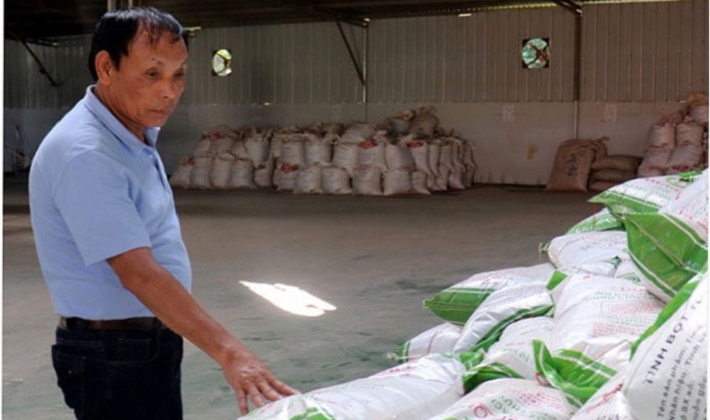 Công ty TNHH Sản xuất và Đầu tư XNK Đức Quý: Tiên phong thực hiện mô hình thu mua và sản xuất thạch đen