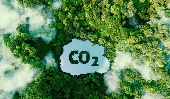 Nhận thức về tín chỉ carbon của các doanh nghiệp nhỏ và vừa trên địa bàn tỉnh Thái Nguyên