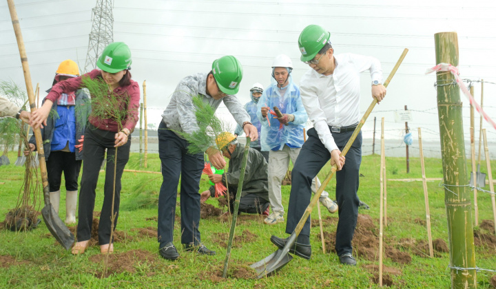 Petrovietnam: Trồng cây xanh là giải pháp quan trọng trong chuyển dịch năng lượng