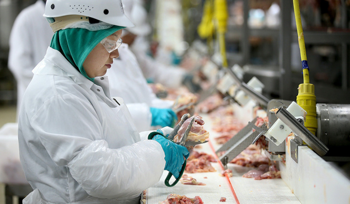 EU sửa đổi quy định liên quan đến chứng nhận vệ sinh thú y
