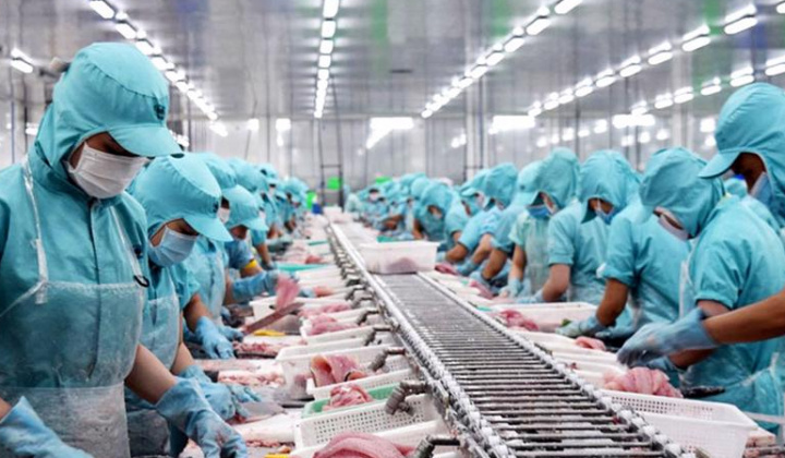 Việt Nam là nguồn cung thủy sản lớn thứ 5 cho Singapore trong hai quý liên tiếp