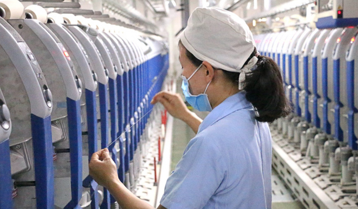 Sợi Thế Kỷ (STK): Lỗ quý 2 cao kỷ lục, cổ phiếu "lau sàn"