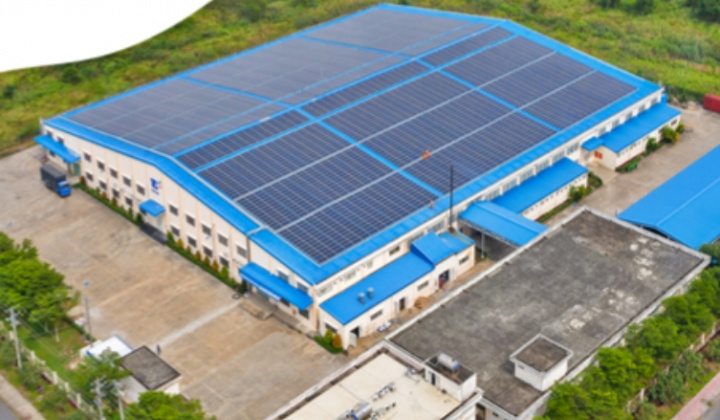 Liên hợp quốc không ủng hộ doanh nghiệp dựa vào tín chỉ carbon để đạt mục tiêu khí hậu