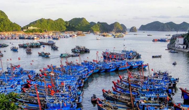 Quy hoạch hệ thống cảng cá đến năm 2030: Sẽ đầu tư 5 trung tâm nghề cá lớn