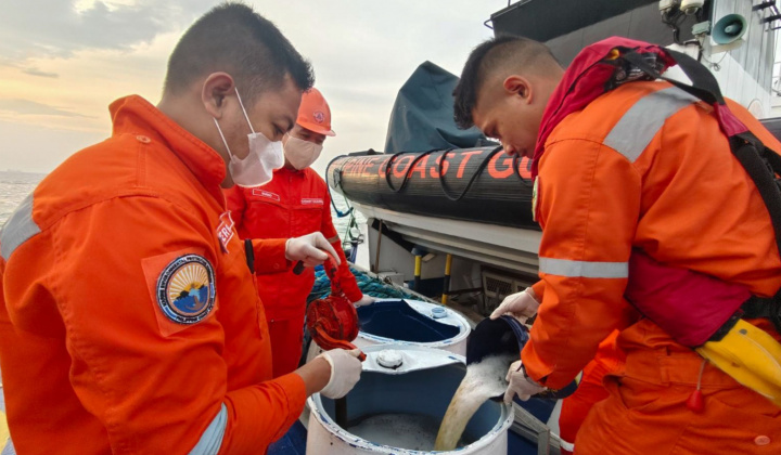 Sự cố tràn dầu khiến cuộc sống người dân Philippines gặp nhiều khó khăn