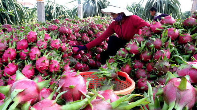 EU gia tăng cảnh báo an toàn thực phẩm đối với nông sản Việt Nam