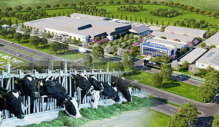 Vinamilk (VNM), HAGL Agrico (HNG): Dồn lực hoàn thiện các dự án chăn nuôi bò quy mô lớn