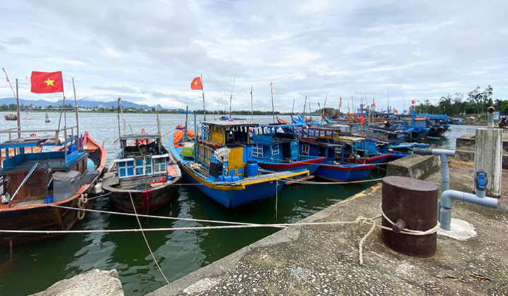 Xây dựng đảo Phú Quý (Bình Thuận) thành trung tâm khai thác, dịch vụ hậu cần nghề cá