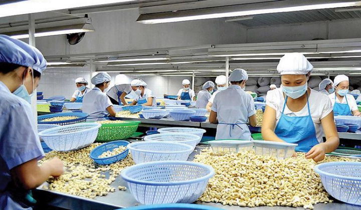 Chuỗi cung ứng hạt điều xuất khẩu của Việt Nam trong bối cảnh thực thi hiệp định CPTPP