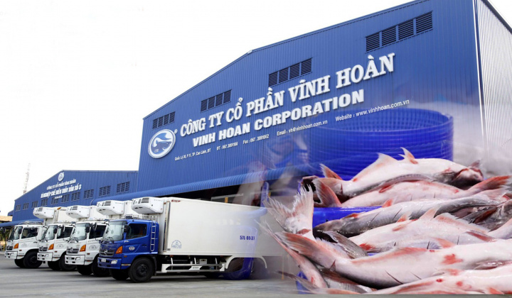 Xuất khẩu cá tra nửa cuối năm của Thuỷ sản Vĩnh Hoàn (VHC) có thể tăng 25%
