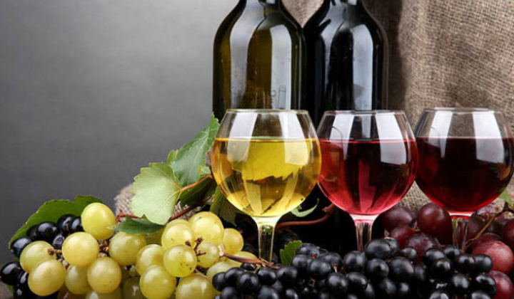 Giới thiệu Công nghệ lọc dòng chảy tiếp tuyến trong sản xuất rượu vang