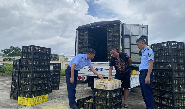 Quản lý thị trường cả nước xử lý trên 30.000 vụ vi phạm trong 7 tháng đầu năm 2024