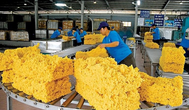 Nhu cầu tại Trung Quốc chững, xuất khẩu cao su của Việt Nam quý II/2024 giảm cả lượng và trị giá